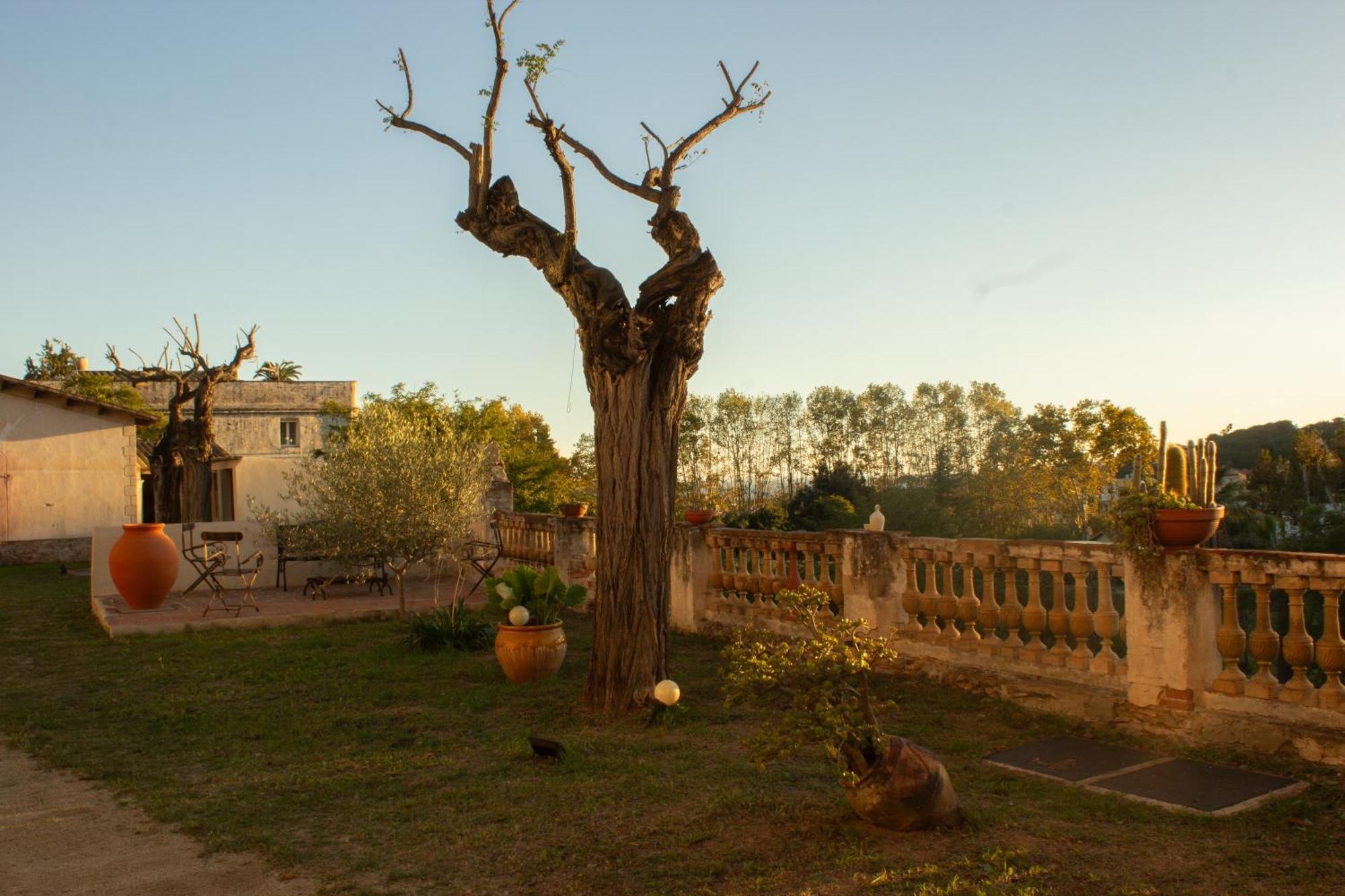 Can Rovira - Stunning Neoclassical Mansion, Just 20 Min Drive From Barcelona City Center, Ideal For Groups And Families Alella Luaran gambar